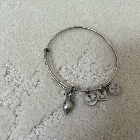 Alex and Ani | Silver Color Charm Bracelet | Zest For Life - Lemon Summer - Picture 3 of 5
